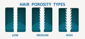 What is your hair porosity type? 